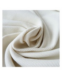 Flat Knitted Fabric 