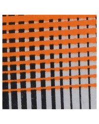 Pigment Print 